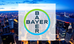 Beitragsbild zu Bayer Aktie: Pharma-Rückschlag überschattet positive Signale