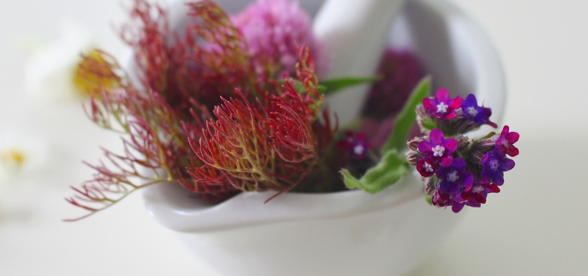 Beitragsbild zu Die wachsende Bedeutung der Naturheilmittelindustrie: Wie Unternehmen den Markt revolutionieren