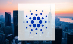 Beitragsbild zu Cardano: Digitalisierungsansätze prüfen