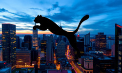 Beitragsbild zu Puma Aktie: Ruhiger Start mit Sorgen