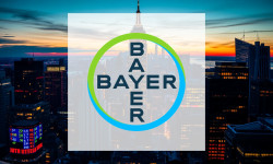 Beitragsbild zu Bayer Aktie: Marktbewegungen bewerten