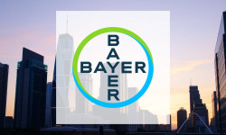 Beitragsbild zu Bayer Aktie: Finanzielle Rahmenbedingungen