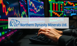 Beitragsbild zu Northern Dynasty Aktie: Alles-oder-nichts-Moment!