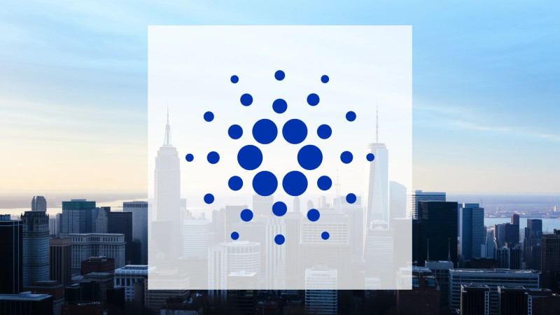 Beitragsbild zu Cardano: Holprige Angelegenheit!