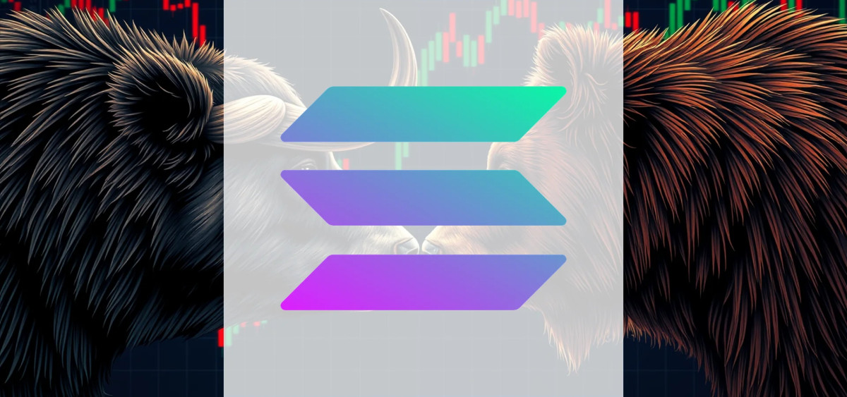 Beitragsbild zu Solana: Großanleger greifen zu!