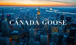 Beitragsbild zu Canada Goose Aktie: Zwischen Hoffnung und Ernüchterung