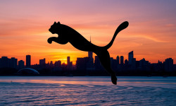 Beitragsbild zu Puma Aktie: Übernahmefantasie bröckelt