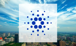 Beitragsbild zu Cardano: Netzwerk-Notfall!