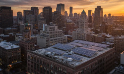 Beitragsbild zu Almonty Aktie: Trotz starker Zahlen Absturz!