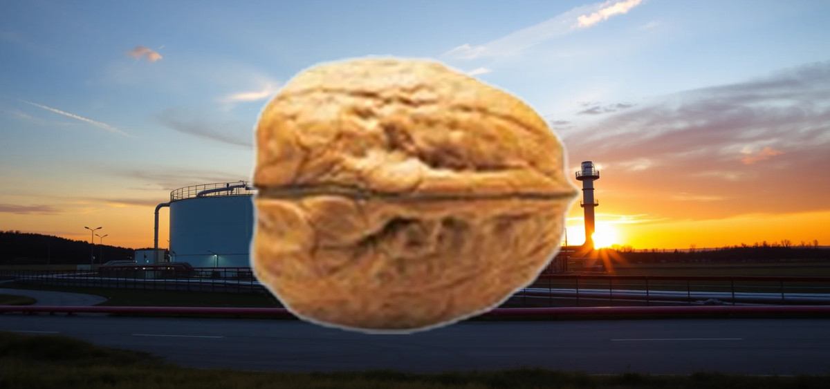 Beitragsbild zu PSI Software Aktie: Plötzliche Wende