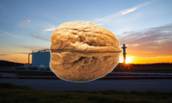 Beitragsbild zu PSI Software Aktie: Plötzliche Wende