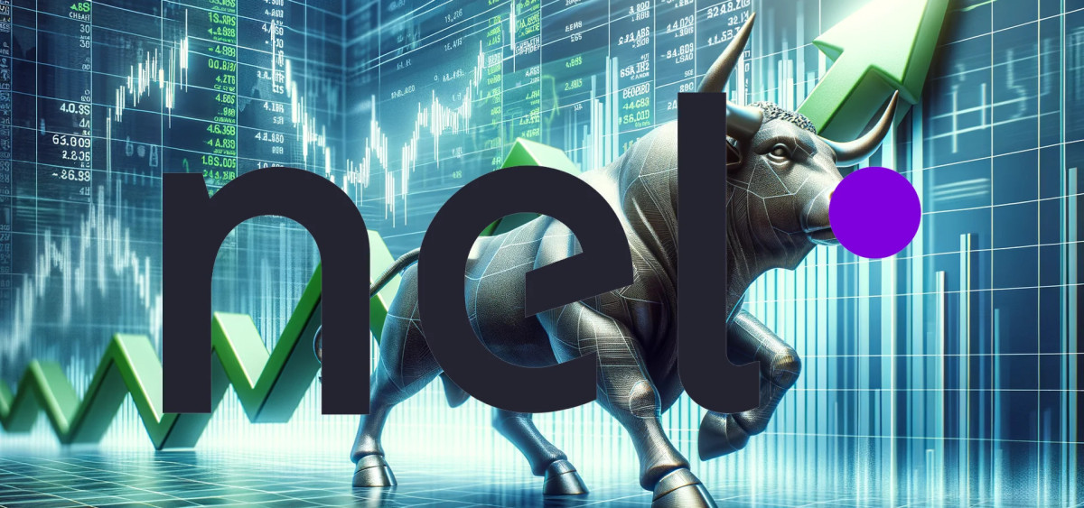 Beitragsbild zu Nel Asa-Aktie: Extrem günstig!