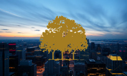 Beitragsbild zu Canopy Growth Aktie: Rally verpufft