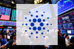 Cardano: Risikoplanung fehlgeschlagen?