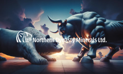 Beitragsbild zu Northern Dynasty Aktie: Alles oder nichts!