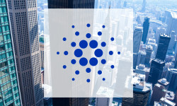Beitragsbild zu Cardano: Fundament gewinnt Gewicht