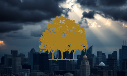 Beitragsbild zu Canopy Growth Aktie: Erfolgsfaktor Digitalisierung