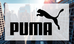Beitragsbild zu Puma Aktie: Übernahme-Poker!