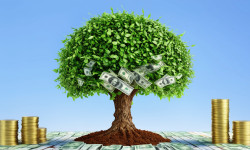 Beitragsbild zu European Lithium Aktie: Glanzvolle Finanzergebnisse!