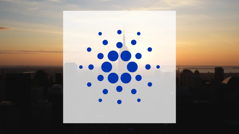 Beitragsbild zu Cardano: Volumen-Explosion vor Stichtag