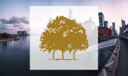 Beitragsbild zu Canopy Growth Aktie: Aktienausgabe schockt Anleger