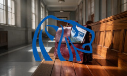 Beitragsbild zu Northern Dynasty Aktie: Juristisches Nachspiel