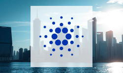 Beitragsbild zu Cardano: Entscheidende Woche steht bevor