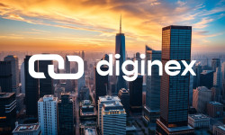 Beitragsbild zu Diginex Aktie: Bodenloser Absturz!