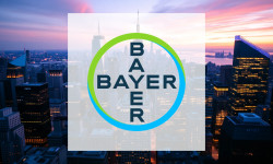 Beitragsbild zu Bayer Aktie: Zerreißprobe!