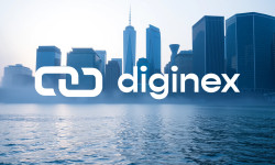 Beitragsbild zu Diginex Aktie: Hoffnung nach Crash?