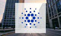Beitragsbild zu Cardano: Derzeitiger Marktstatus