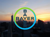 Beitragsbild zu Bayer-Aktie: Was für eine Pleite!