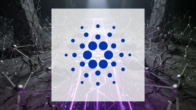 Beitragsbild zu Cardano: Bestandsaufnahme