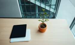 Beitragsbild zu Österreich gründet Start-up-Dachfonds