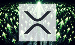 Beitragsbild zu XRP: Preisschwäche trifft ETF-Rekorde