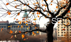 Beitragsbild zu Porsche SE Aktie: Ernüchternder Ausblick!