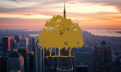 Beitragsbild zu Canopy Growth Aktie: Digitalisierungsansätze prüfen