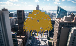 Beitragsbild zu Canopy Growth Aktie: Wichtiger Zwischenstand