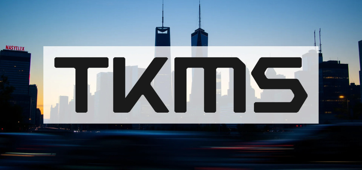 Beitragsbild zu TKMS-Aktie: Unfassbare Zahlen!