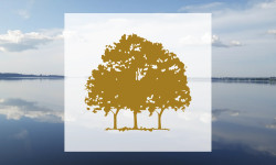 Beitragsbild zu Canopy Growth Aktie: Dringender Appell vor Hauptversammlung