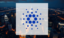 Beitragsbild zu Cardano: Wale kaufen zu