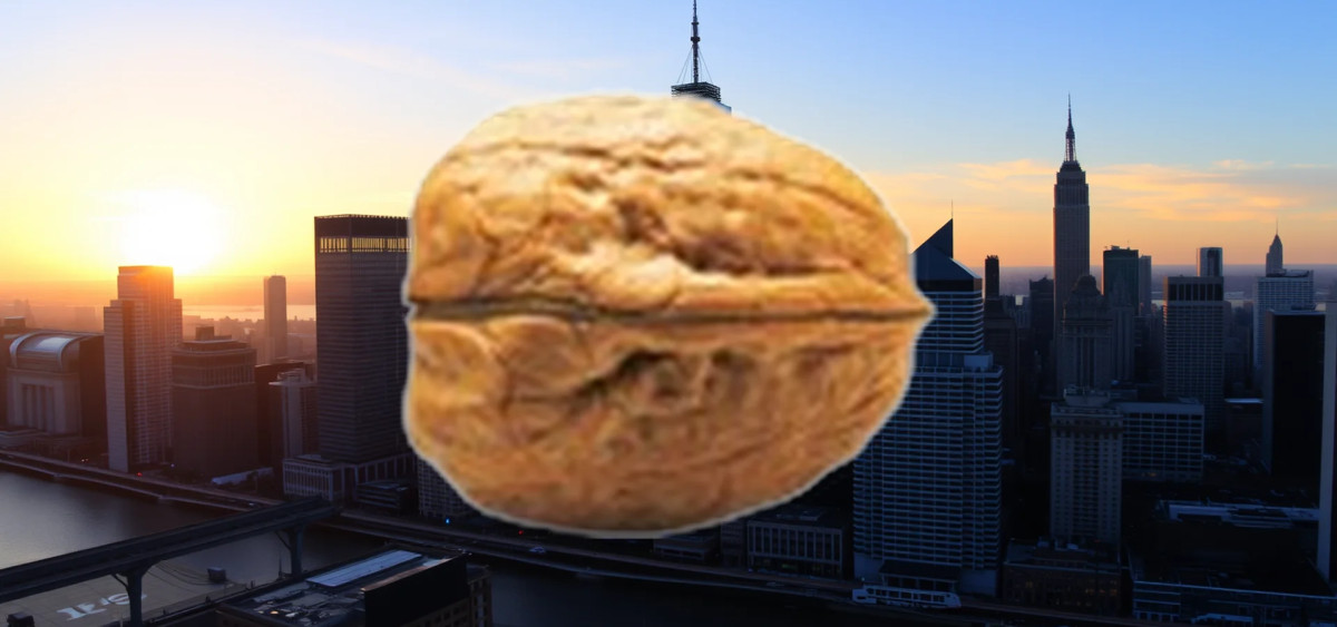 Beitragsbild zu PSI Software Aktie: Ernüchterung eintritt?