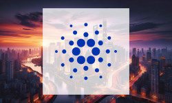 Beitragsbild zu Cardano: Absturz mit Hoffnungsschimmer