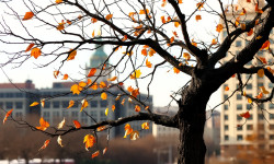 Beitragsbild zu Royal Helium Aktie: Explosionsartige Rally!