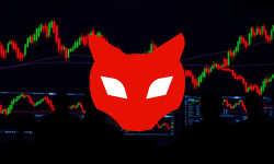 Beitragsbild zu Red Cat Aktie: Analystenschub