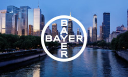 Beitragsbild zu Bayer Aktie: Hintergründe unklar?