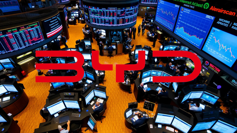 Beitragsbild zu BYD-Aktie: Ein Aufschrei!