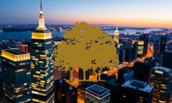 Beitragsbild zu Canopy Growth Aktie: Regulierung bremst