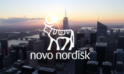 Beitragsbild zu Novo Nordisk Aktie: Totaler Absturz!