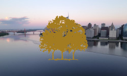 Beitragsbild zu Canopy Growth Aktie: Sorgen?